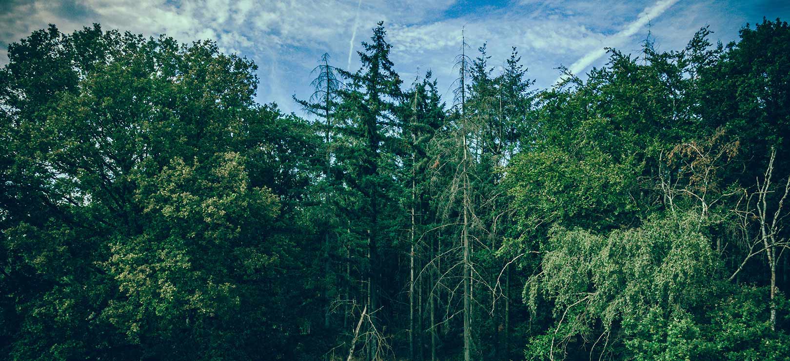 Herramientas Yueqing Chenggong Co., Ltd.